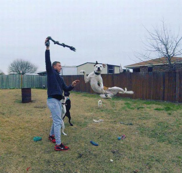 Picdump 18 - #31 Picdump 18 - #31
