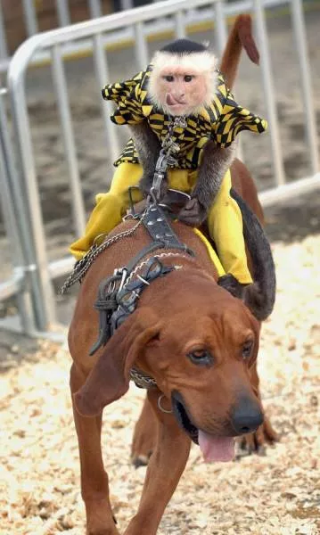 Picdump 18 - #39 Picdump 18 - #39
