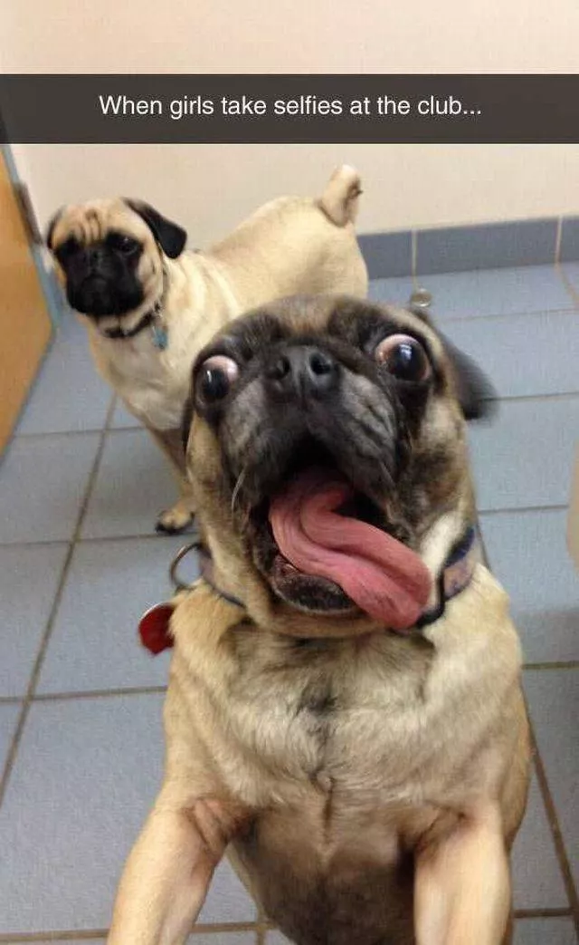 Picdump 18 - #48 