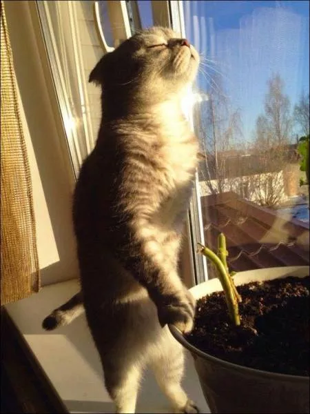 Picdump 18 - #80  Picdump 18 - #80