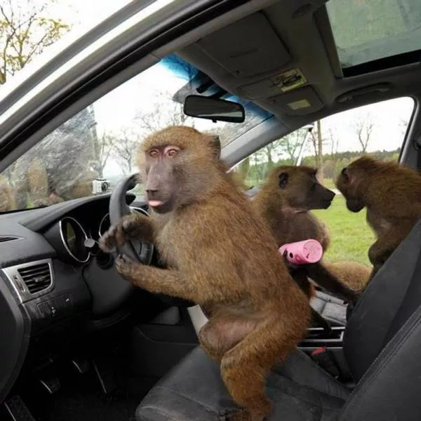 Picdump 18 - #83  Picdump 18 - #83