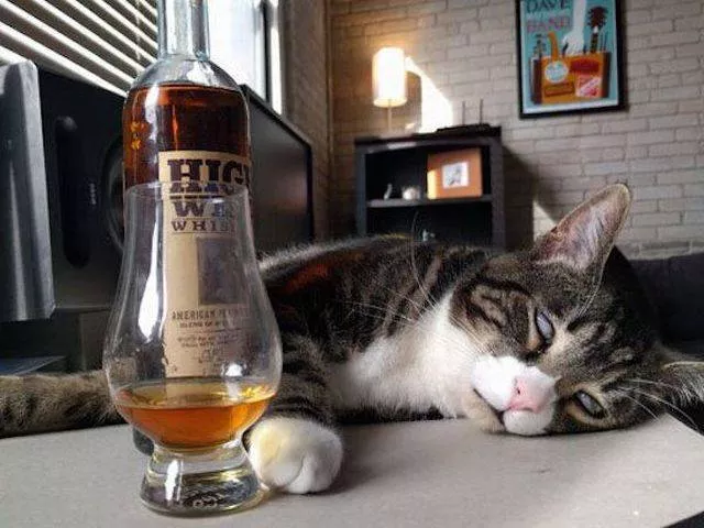 Picdump 18 - #9 Picdump 18 - #9