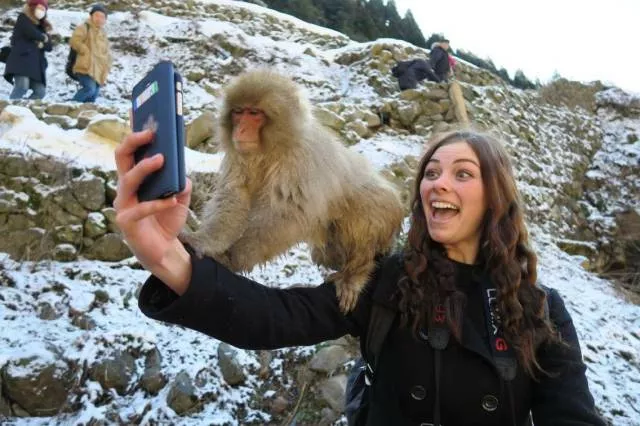 Picdump 18 - #94  Picdump 18 - #94