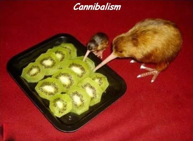 Picdump 135 - #15 