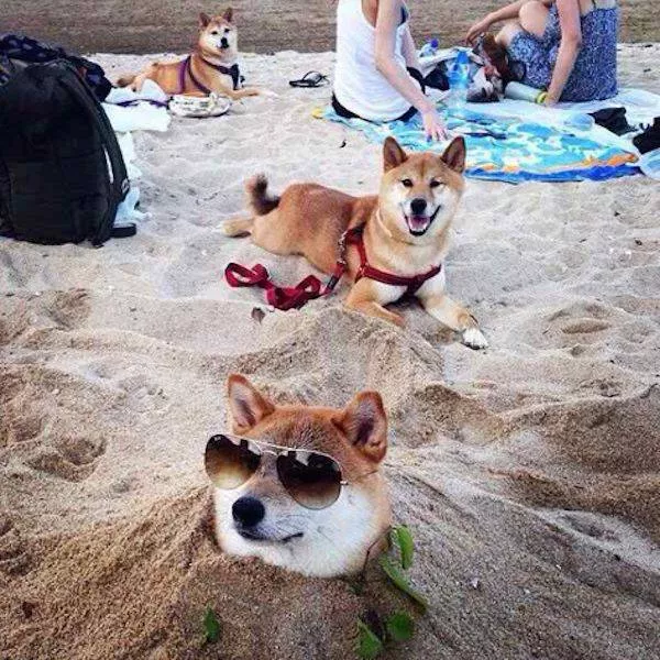 Picdump 135 - #18 