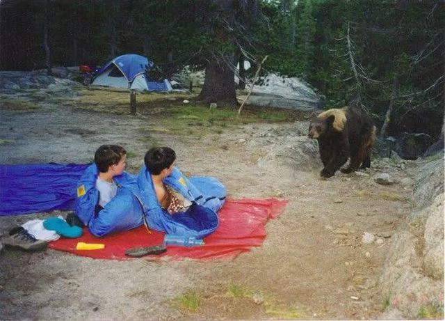 Picdump 135 - #47 
