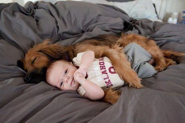 Picdump 135 - #50 