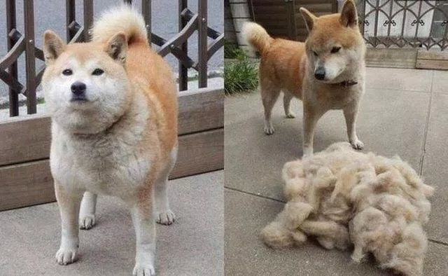 Picdump 135 - #55 