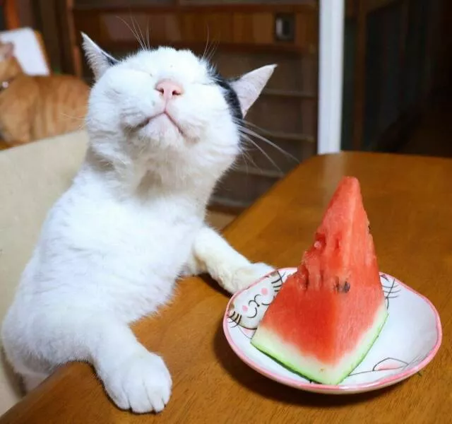 Picdump 1067 - #1 