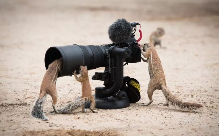 Picdump 1067 - #8 