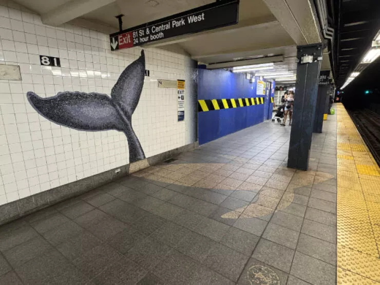 Ces photos qui captent loeil et ne le lachent plus - #20 Mosaïque de baleine qui semble plonger sous le sol en illusion d’optique