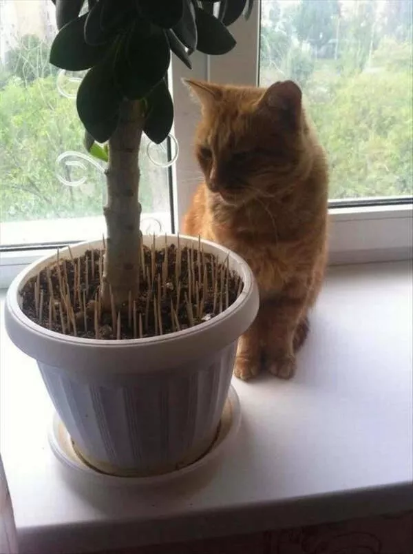 Photos that make you wonder what happened - #11 