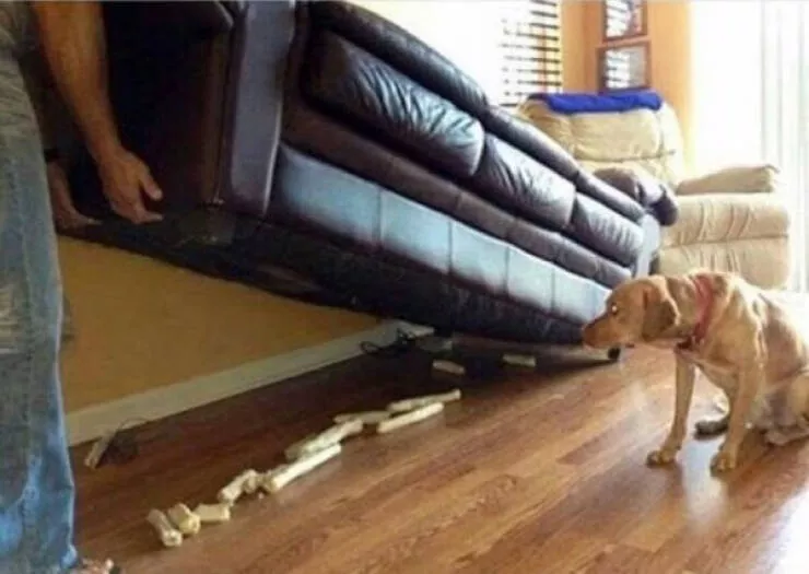 Photos that make you wonder what happened - #22 