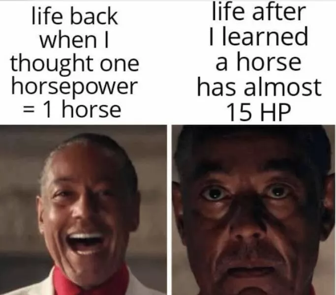 Memes culte qui ont parfaitement capture linstant - #11 
