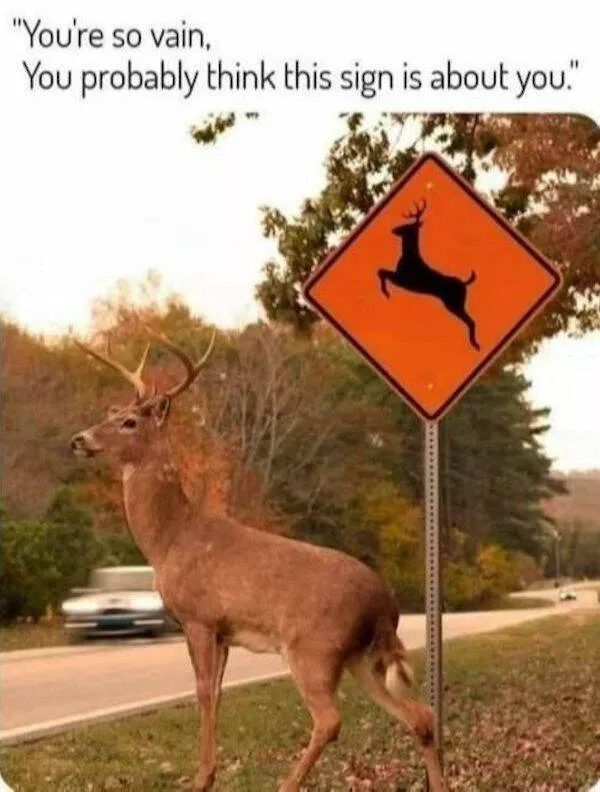 Memes that perfectly captured the exact moment we all felt - #19 