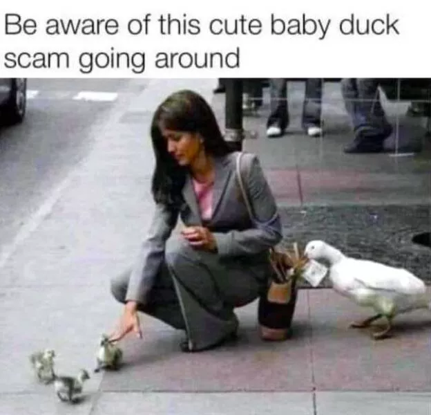 Memes culte qui ont parfaitement capture linstant - #24 