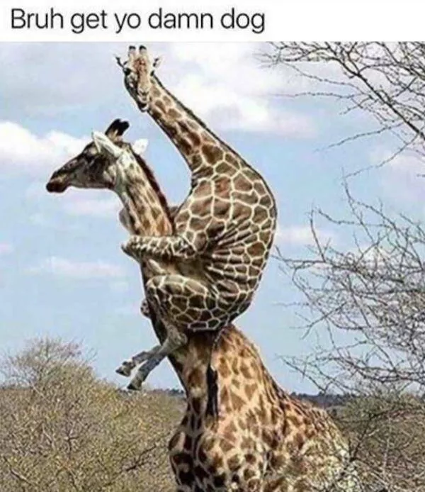 Memes that perfectly captured the exact moment we all felt - #7 