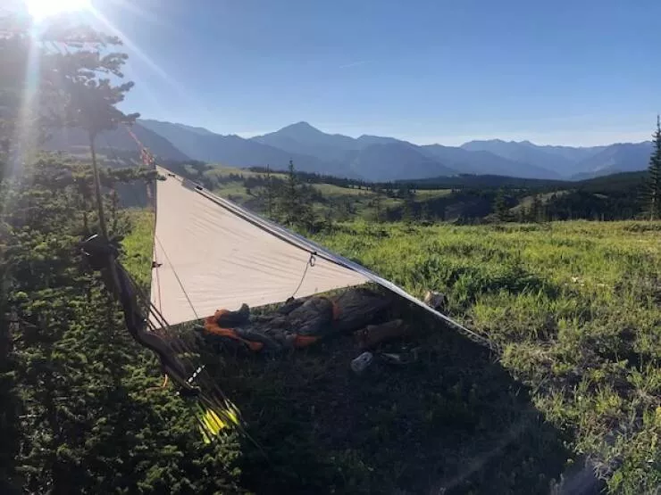 The beauty of bushcraft where skill meets the wild The beauty of bushcraft where skill meets the wild