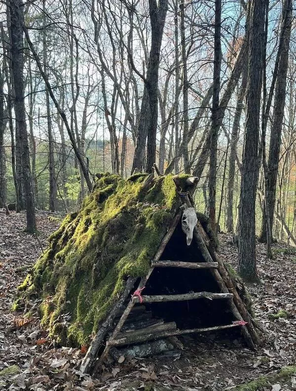 The beauty of bushcraft where skill meets the wild - #17 The beauty of bushcraft where skill meets the wild - #17