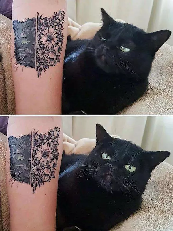 Photos that prove cats rule the internet and always will - #14 
