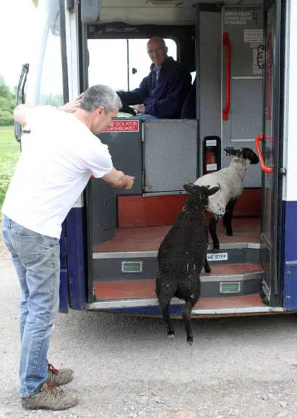 41 wtf photos that defy imagination - #14 