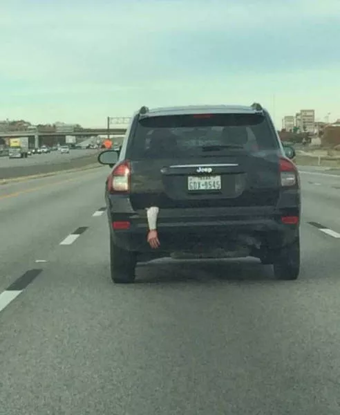 41 wtf photos that defy imagination - #19 