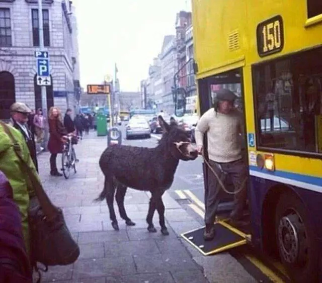 41 photos wtf qui defient limagination - #36 