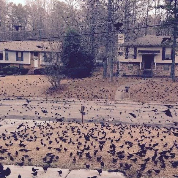 41 wtf photos that defy imagination - #5 