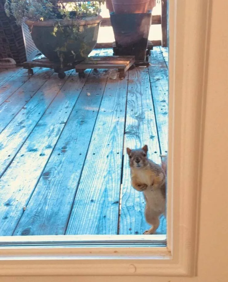 Picdump 1068 - #13 