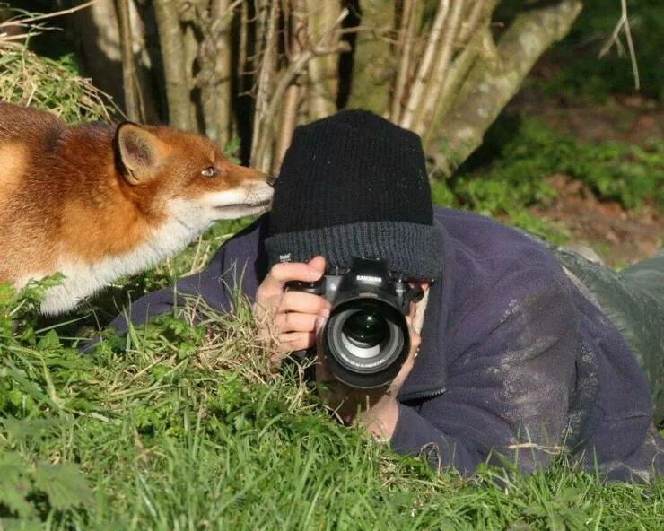 Picdump 1068 - #15 