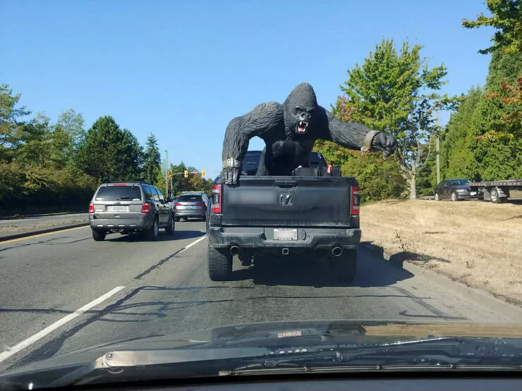 Picdump 1068 - #17 
