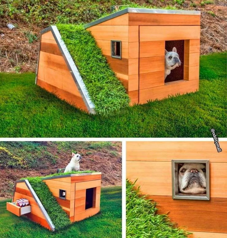 Picdump 1068 - #19 