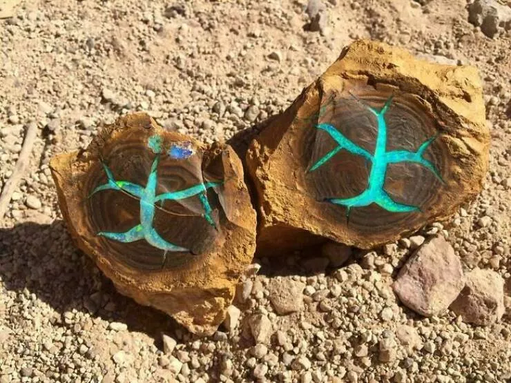 Trop bizarre pour etre ignore trop cool pour rater ca - #31 Opale dont la formation intérieure ressemble à des runes mystérieuses