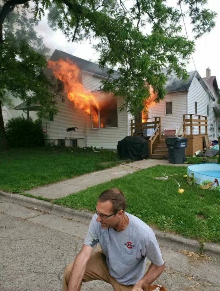 Too weird to ignore too cool to scroll past - #34 Man rescues neighbor’s dog—cat escapes mid-action, frozen in frame