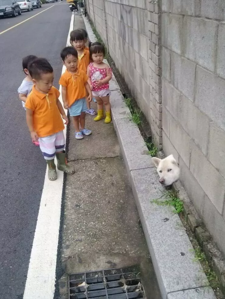 Picdump 1069 - #1 