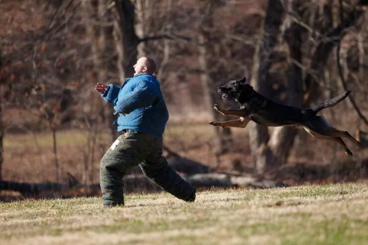 Picdump 1069 - #11 