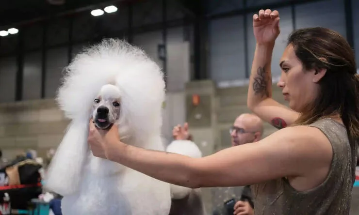 Picdump 1069 - #26 