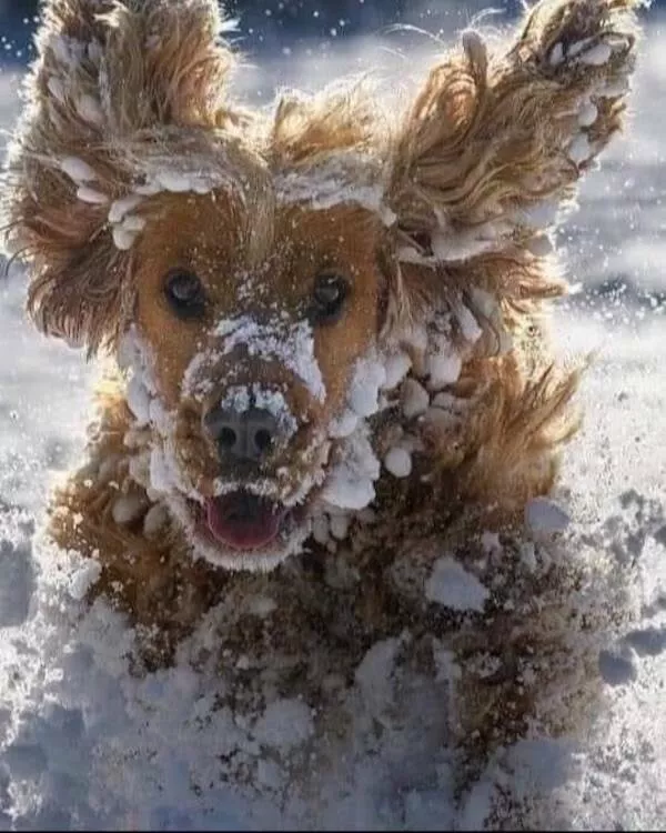 Picdump 1069 - #34 