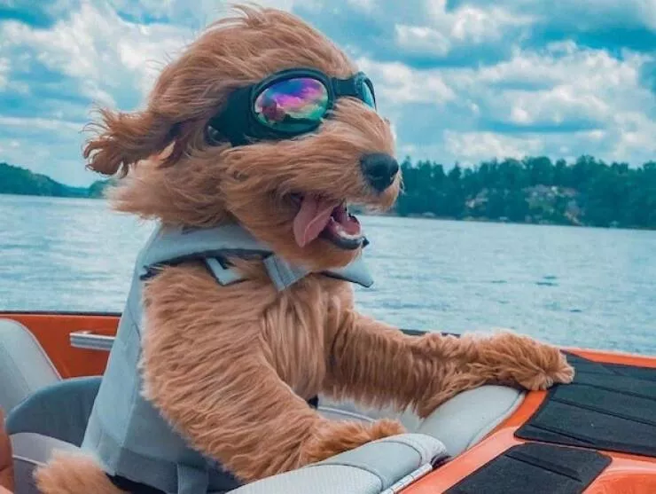 Picdump 1069 - #47 