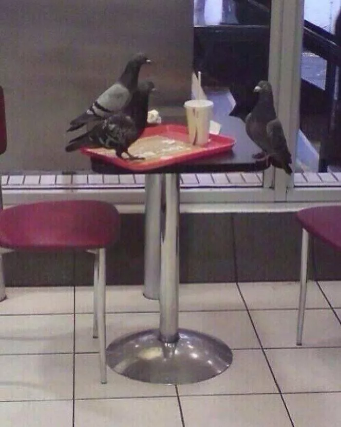 Weird images that somehow make you laugh out of nowhere - #17 
