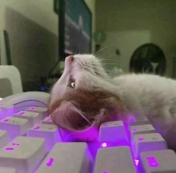 Weird images that somehow make you laugh out of nowhere - #32 