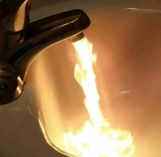 Weird images that somehow make you laugh out of nowhere
