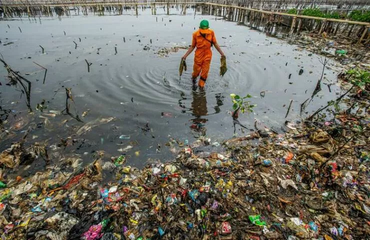 Spectacular images of the 2025 mangrove photography awards - #12 Volunteers rise at dawn to cleanse coastlines of plastic scars