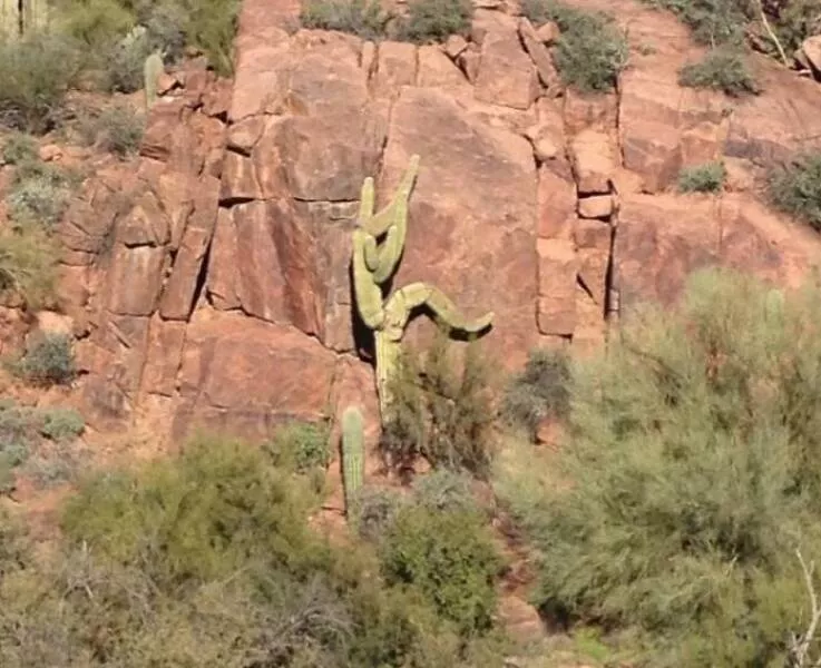 Quand la nature a decide de tout lacher prise - #1 