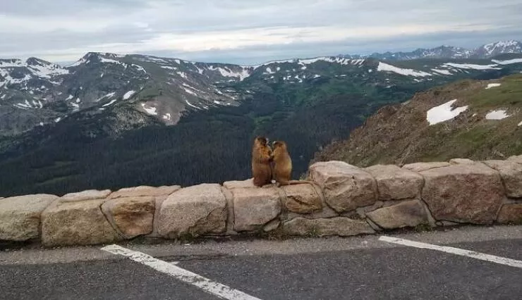 When nature just said screw it and went full chaos - #6 Sister films Pikes Peak proposal—accidental romance caught on camera