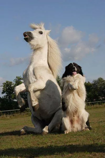 Picdump 136 - #12 