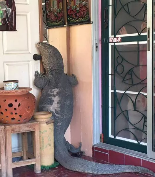 Picdump 136 - #36 