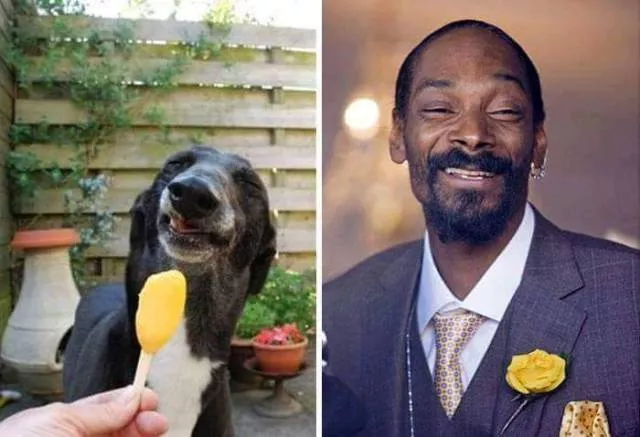 Picdump 136 - #43 