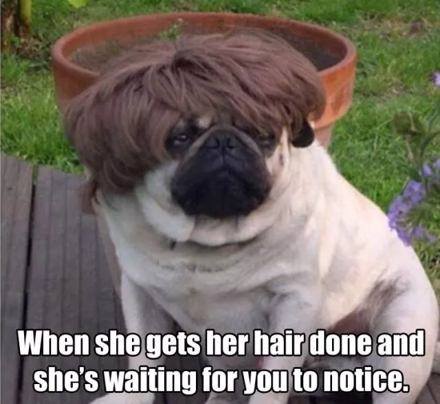 Picdump 136 - #45 