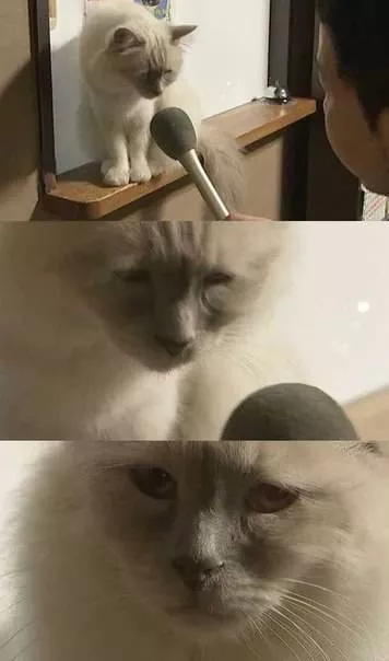 Picdump 136 - #48 